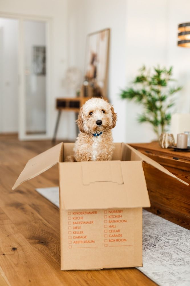 Leben im Grünen, die City genießen.