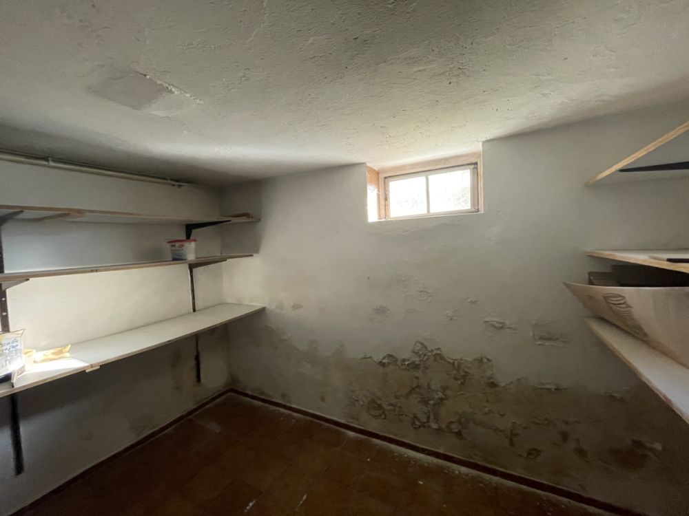 Einfamilienhaus mit großer Maschinenhalle und Werkstatt in Waidhaus!