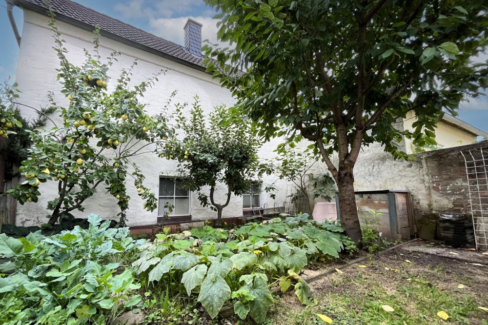 Charmantes EFH mit Wohlfühlatmosphäre