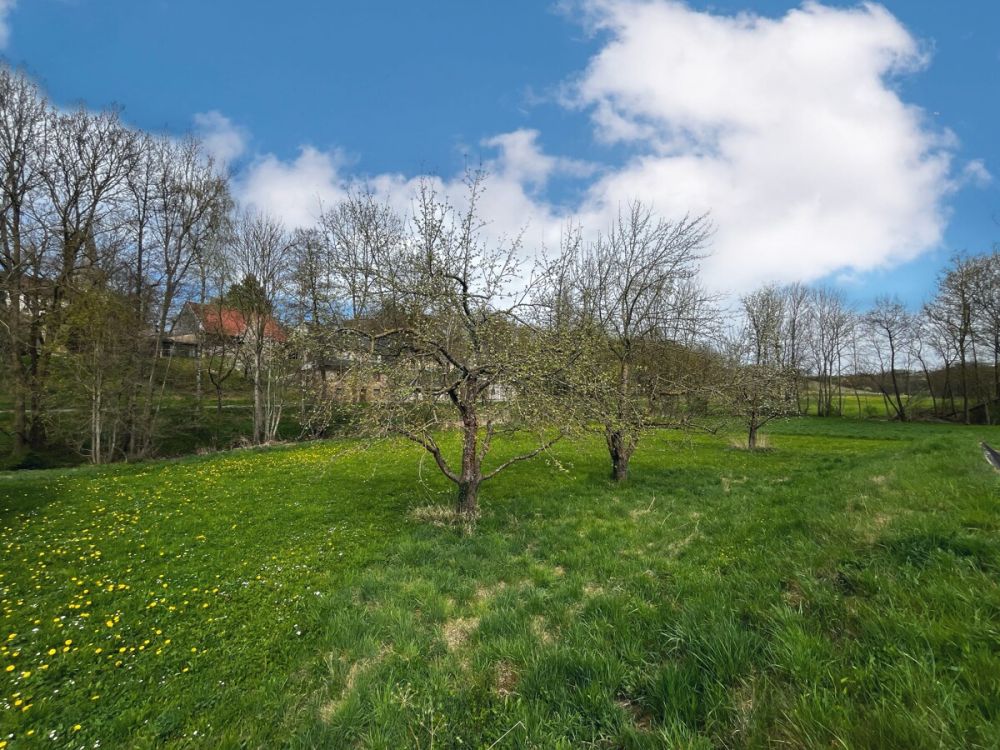 Großzügiges Wohnen in ländlichem Umfeld mit genügend Platz für die ganze Familie und deren Hobbys! (14)