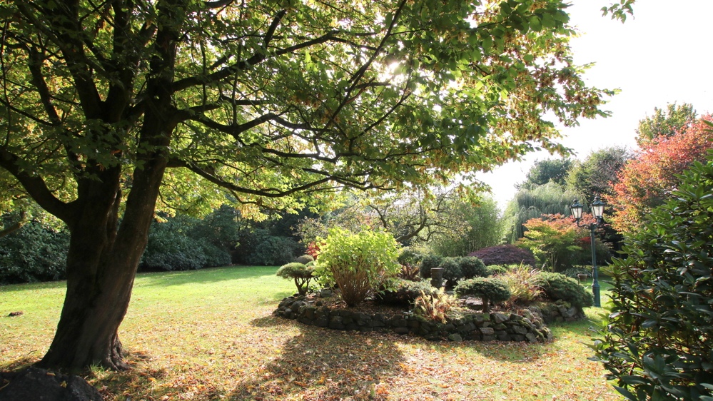 Reetdach-Anwesen mit Sommer-Gästehaus, Garage und Parkgrundstück / nur ca. 600 m zum Zw´ahner Meer