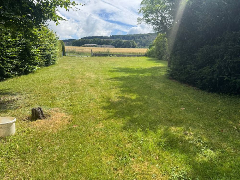 Leben im Nationalpark Hunsrück-Hochwald