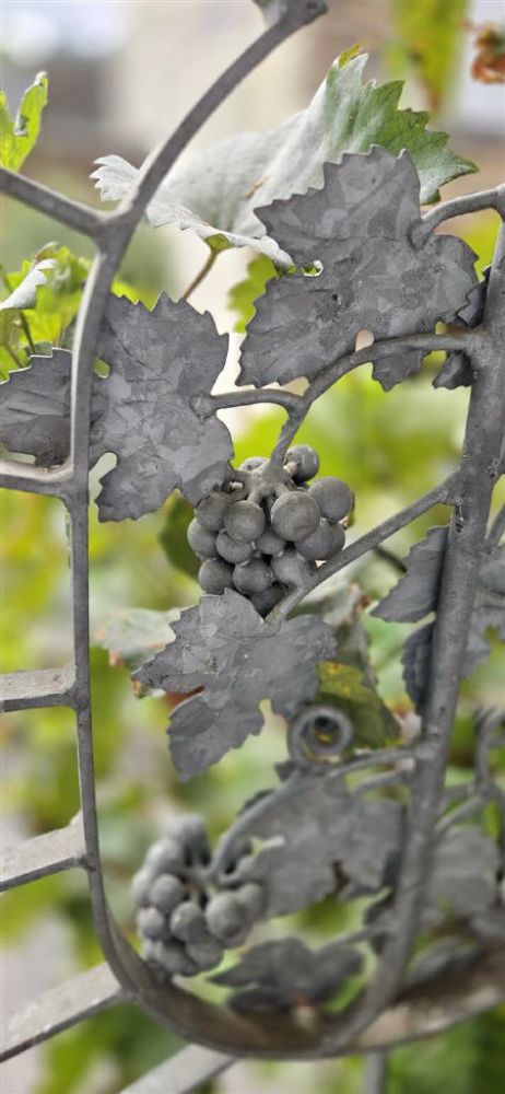 Genießen Sie das Moseltal! Einfamilienhaus mit Balkon und mehr....