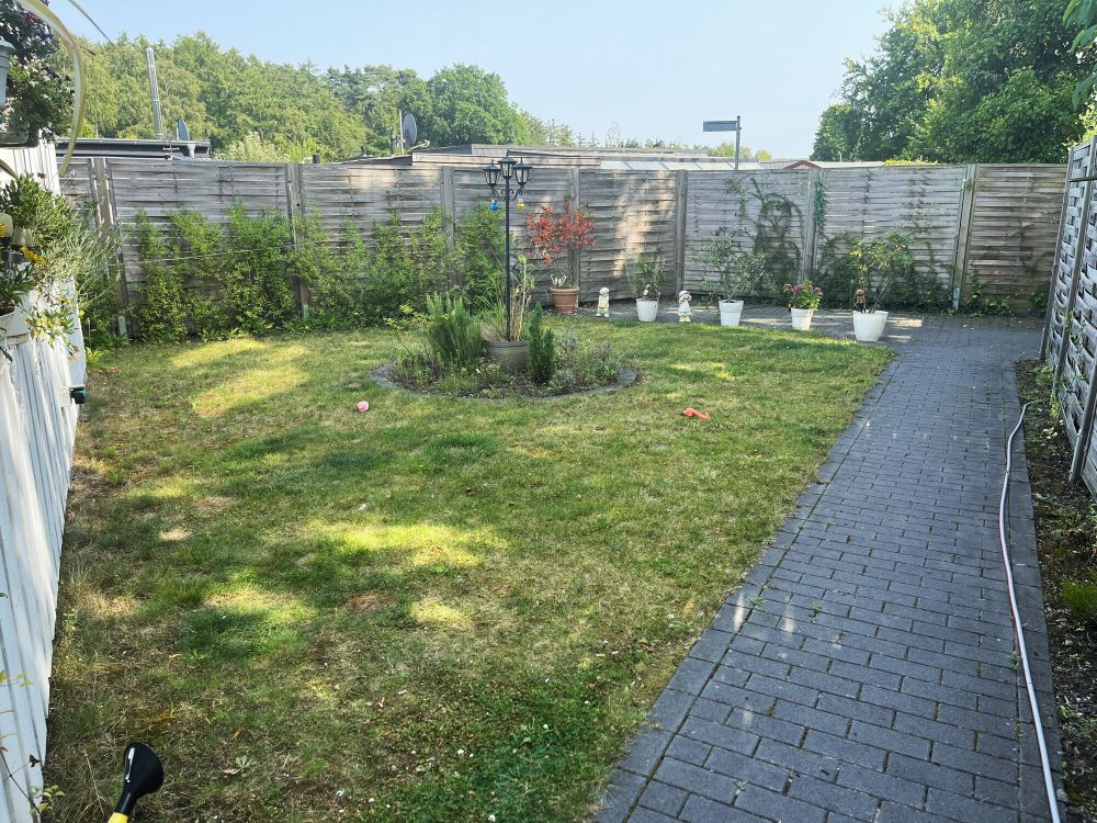 Eingangsbereich mit Rasenfläche