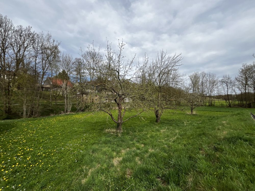 Großzügiges Wohnen in ländlichem Umfeld mit genügend Platz für die ganze Familie und deren Hobbys!