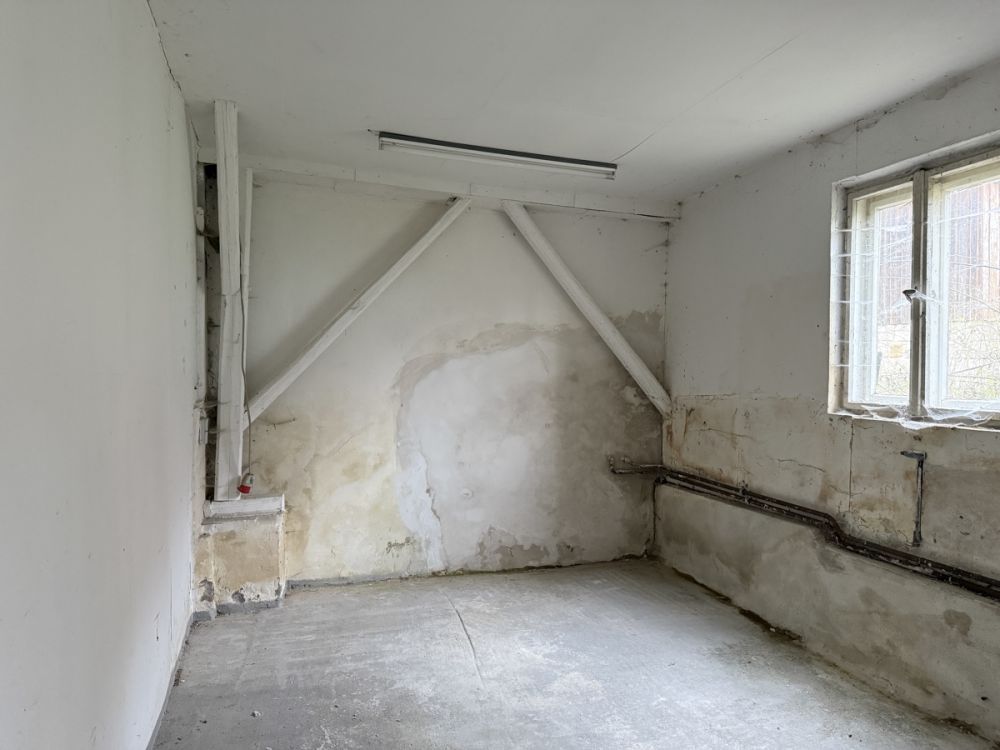 Individualisten aufgepasst – Historisches Anwesen mit vielfältigen Nutzungsmöglichkeiten in Thumsenreuth!