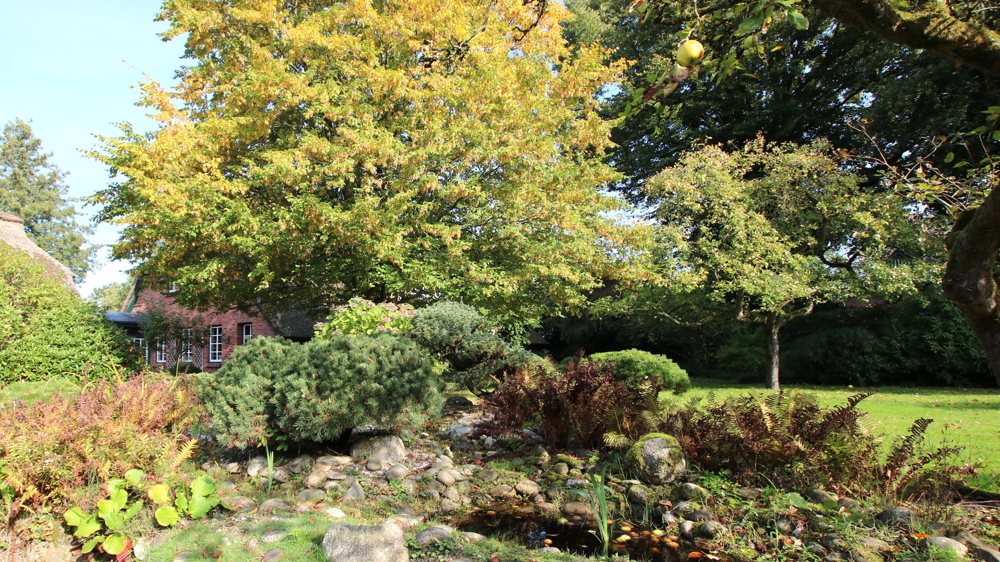 Reetdach-Anwesen mit Sommer-Gästehaus, Garage und Parkgrundstück / nur ca. 600 m zum Zw´ahner Meer