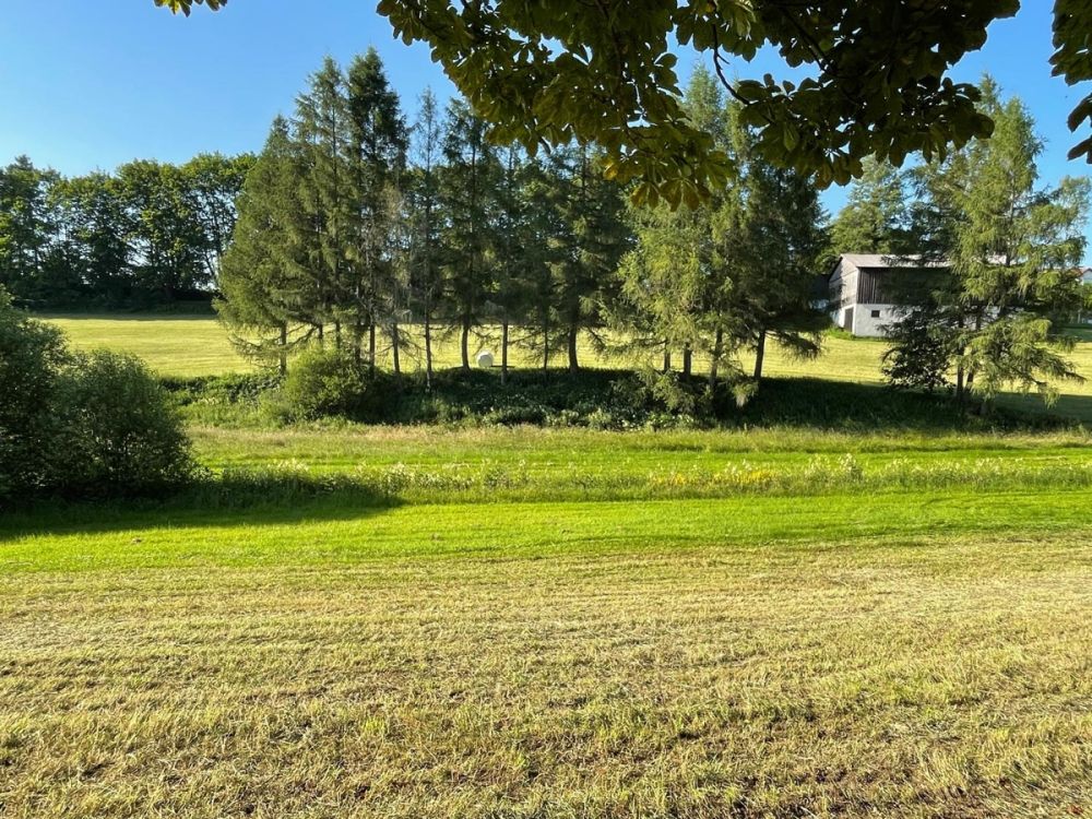 Anwesen für Selbstversorger und Tierliebhaber in idyllischer und ruhiger Randlage in Bärnau