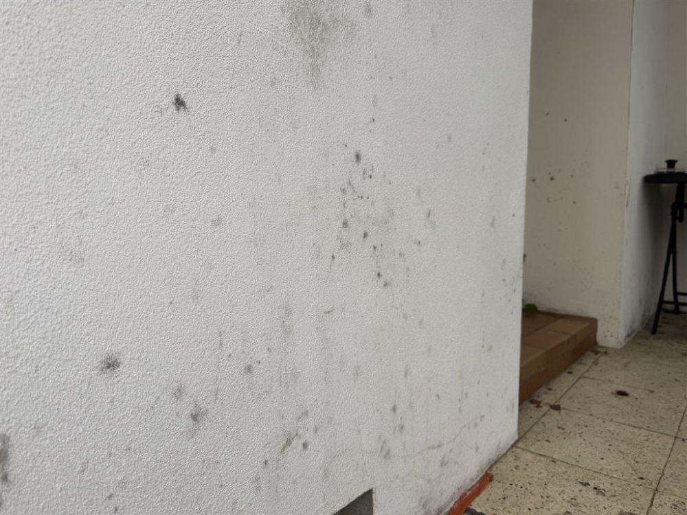 Fleißige Hände gesucht!