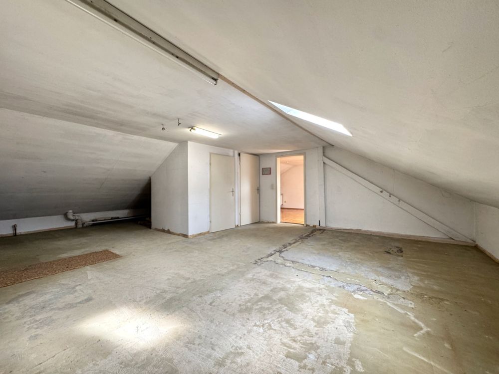 Zimmer DG