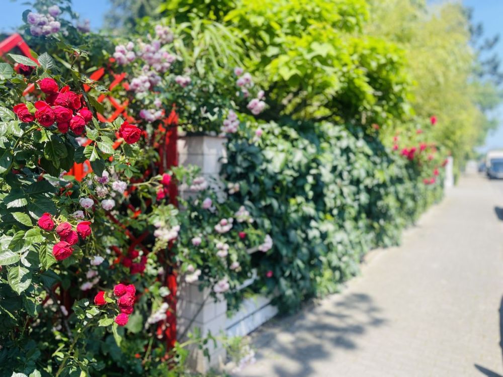 Stilvolles Einfamilienhaus mit hochwertiger Wohn & Raumausstattung