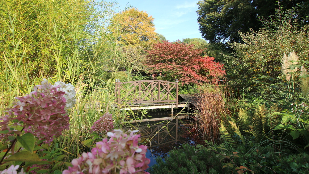 Reetdach-Anwesen mit Sommer-Gästehaus, Garage und Parkgrundstück / nur ca. 600 m zum Zw´ahner Meer