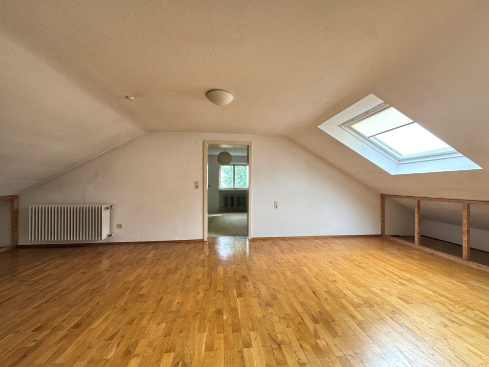 Zimmer DG