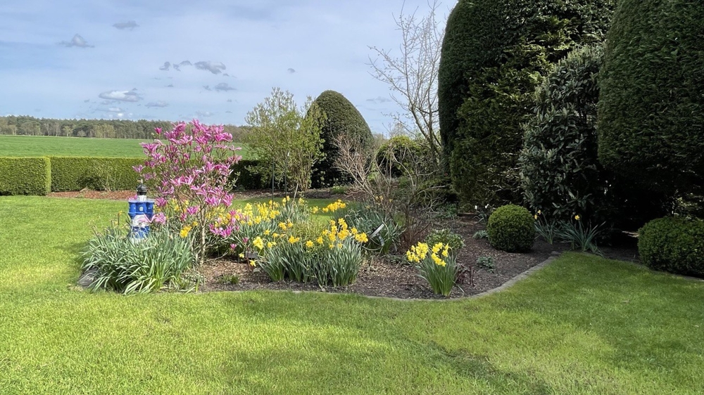 Ohne Käuferprovision! Modern, ruhig, barrierefrei - Ihr neues Zuhause in Lengenbostel