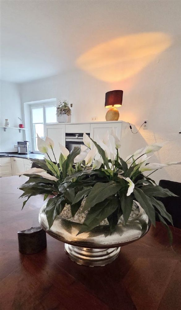 Ehemaliges  Weingut mit Charme! Hochwertig u. umfassend modernisiert!