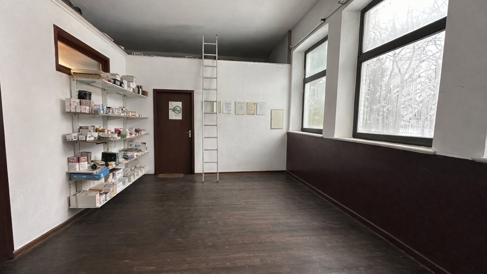 Werkstatt - KI unterstützte Bildbearbeitung