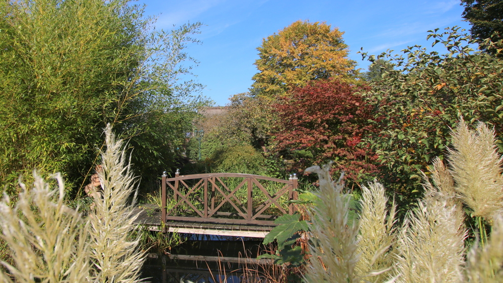 Reetdach-Anwesen mit Sommer-Gästehaus, Garage und Parkgrundstück / nur ca. 600 m zum Zw´ahner Meer