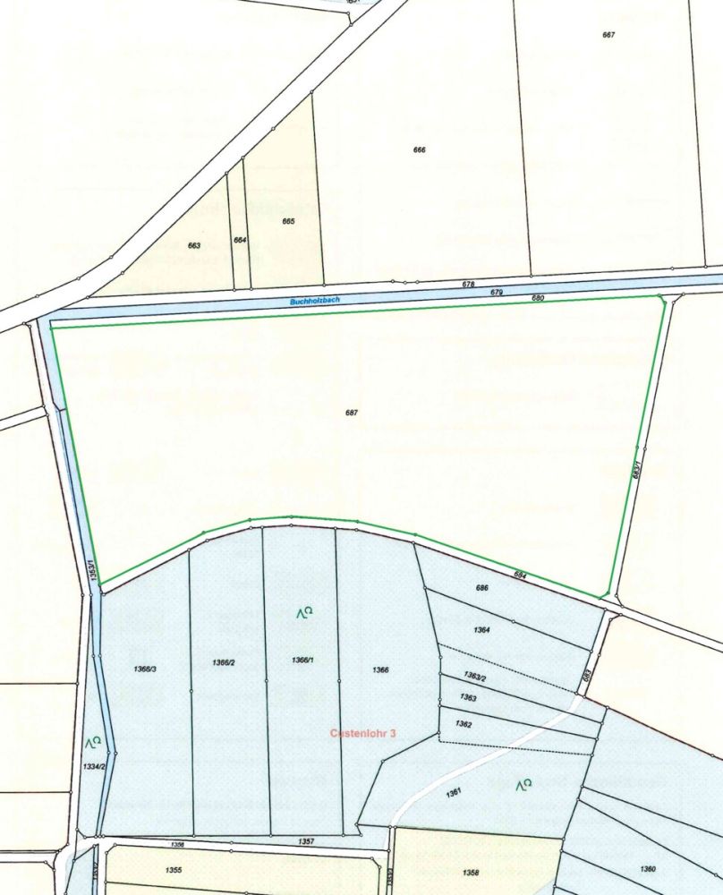 Flurstück 687