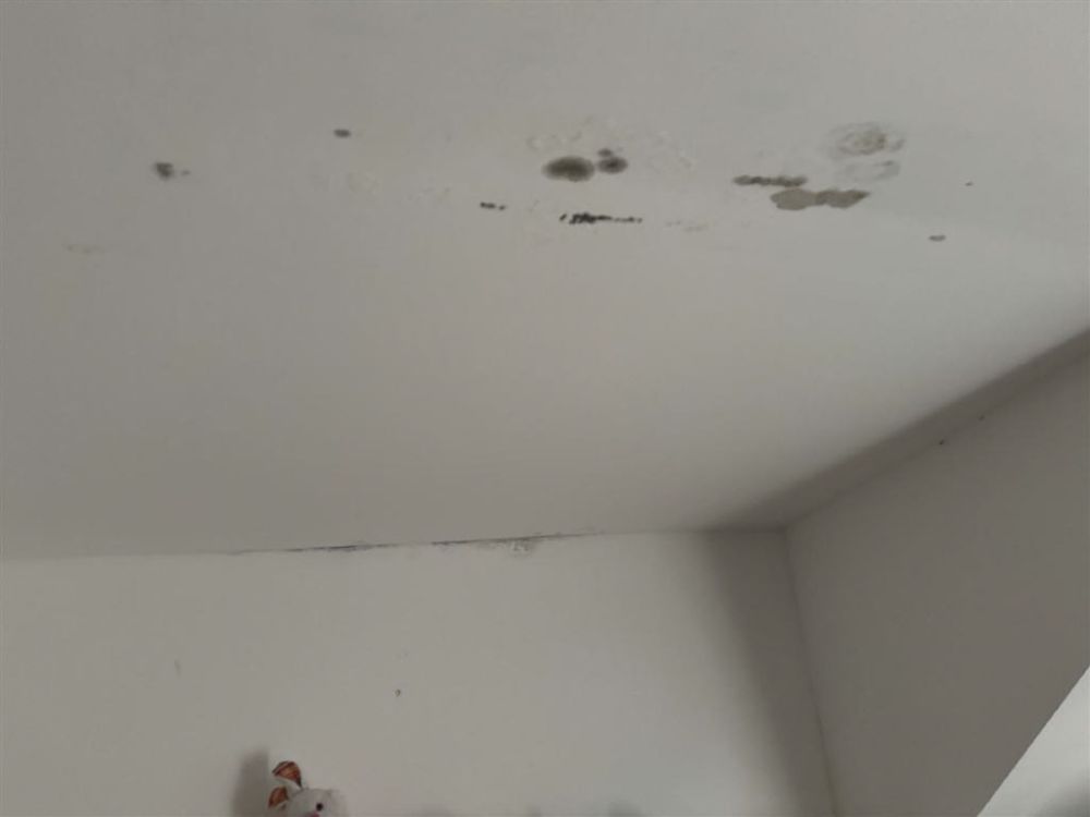 Fleißige Hände gesucht!