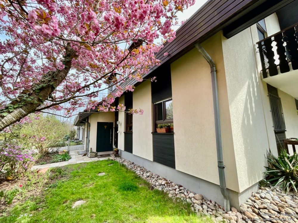 Familienschatz 
am Waldrand