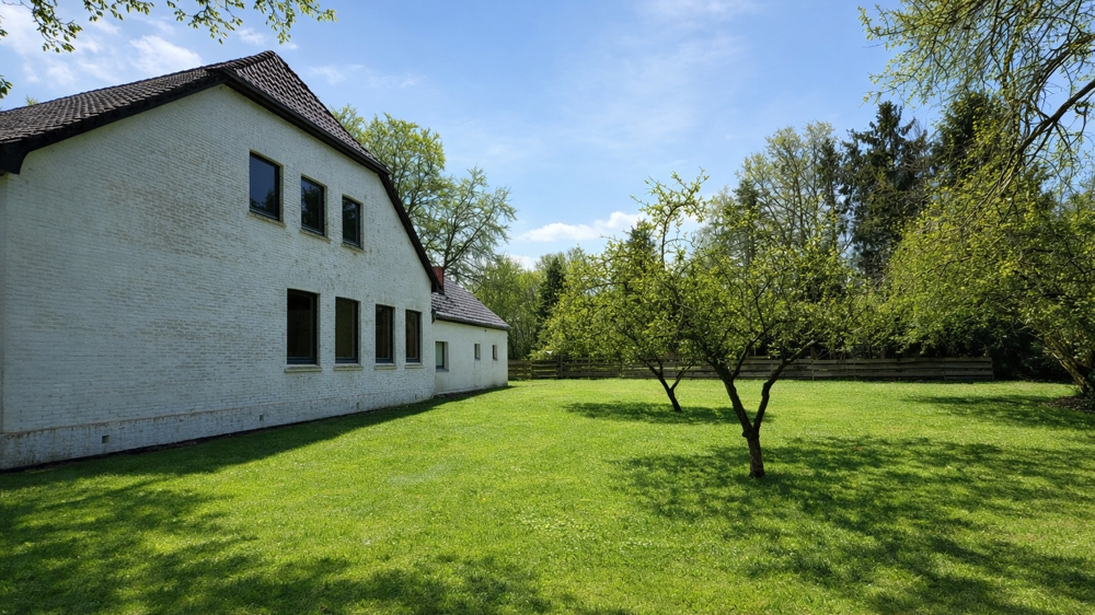 Einblicke in den Gartenbereich