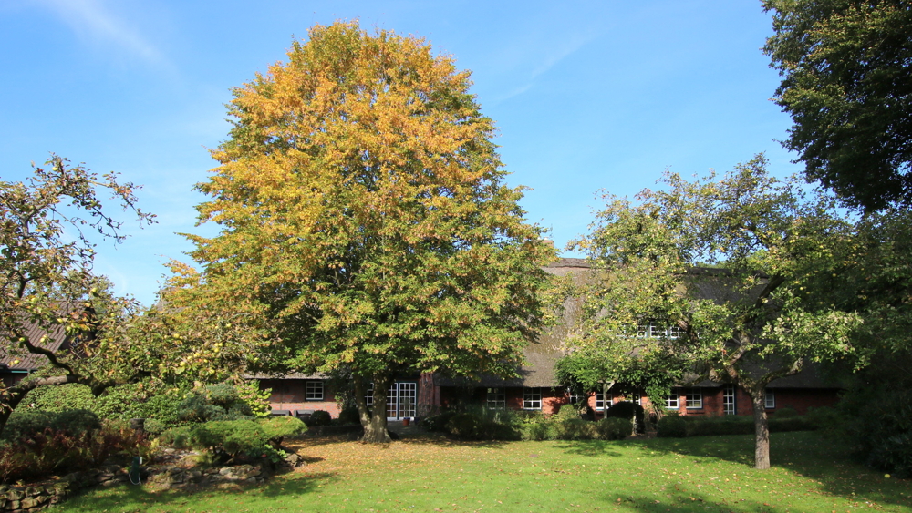 Reetdach-Anwesen mit Sommer-Gästehaus, Garage und Parkgrundstück / nur ca. 600 m zum Zw´ahner Meer