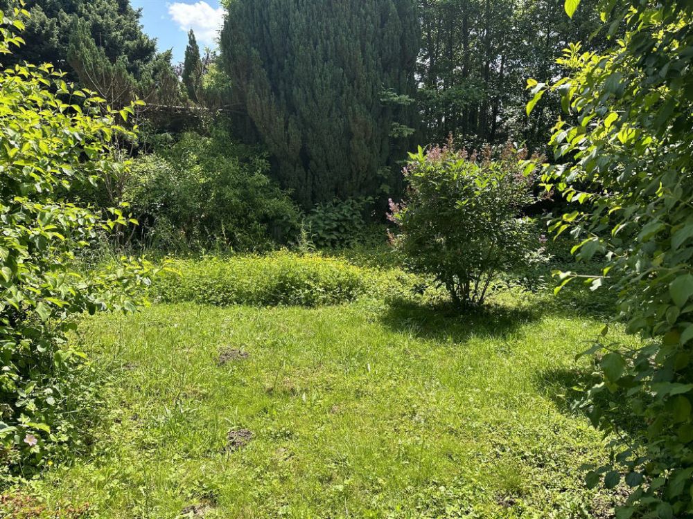 Highlight in Birkenfeld