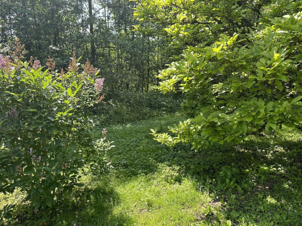 Highlight in Birkenfeld