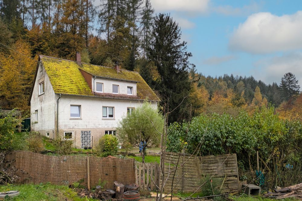 Selbermacher aufgepasst: Haus mit großem, naturnahen Grundstück und vielen Nutzungs-Möglichkeiten!