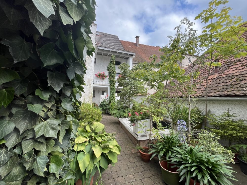 Charmantes Wohn- und Geschäftshaus im Ortskern Luhe! - Vielseitig nutzbar und ab sofort verfügbar!