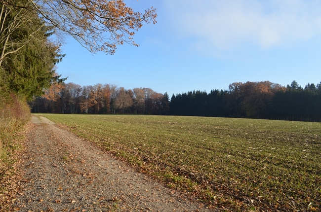 gut anfahrbare Ackerfläche