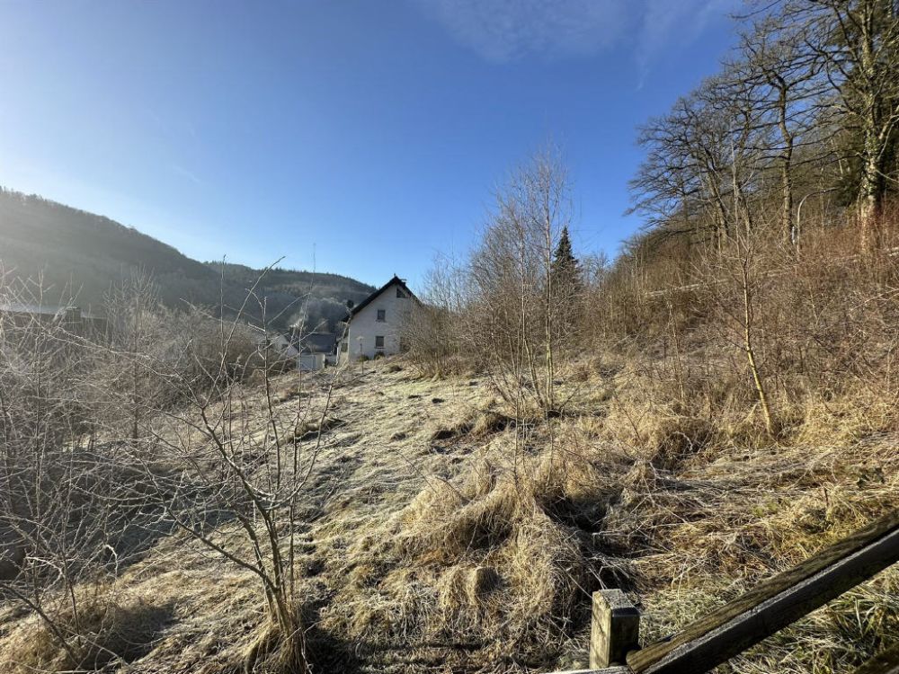 / Kaufpreisreduzierung -
 Baugrundstück in Meschede!