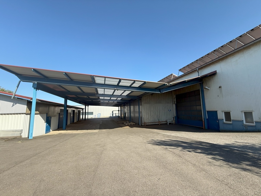 Halle 3 mit überdachter Freifläche