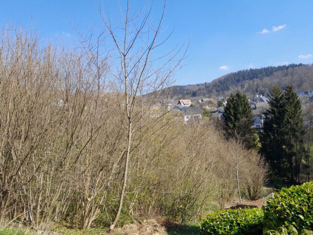 Blick auf Bad Fredeburg