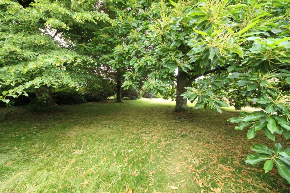 Baugrundstück ohne Bebauungspflicht... (2)