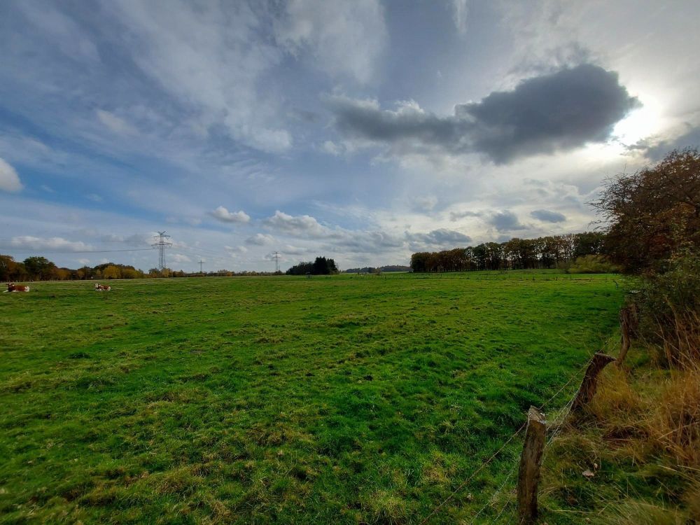 Interessante landwirtschaftliche Grünfläche mit geringem Waldanteil als bodenständige Kapitalanlage