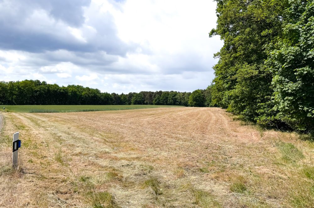 Rechteckig geschnittene Ackerfläche in Lengerich-Wechte (2)