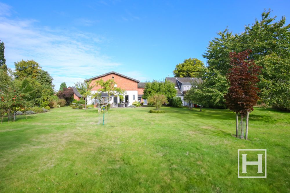 Ihr Platz zum Träumen