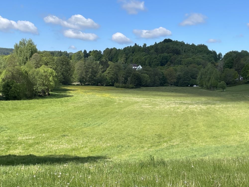 Landwirtschaftliche Fläche im Bereich Pleystein zu verkaufen!