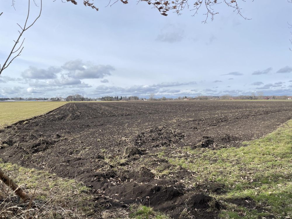 links die Südgrenze