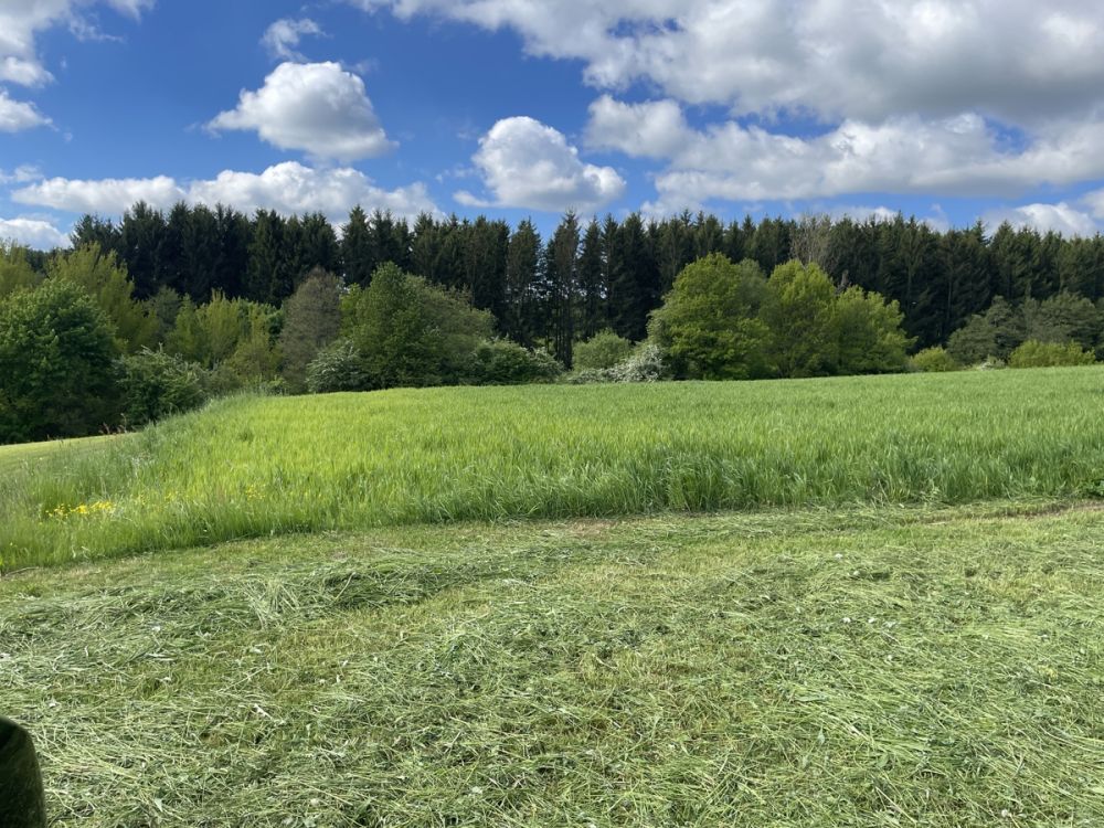 Landwirtschaftliche Fläche 
im Bereich Pleystein zu verkaufen!