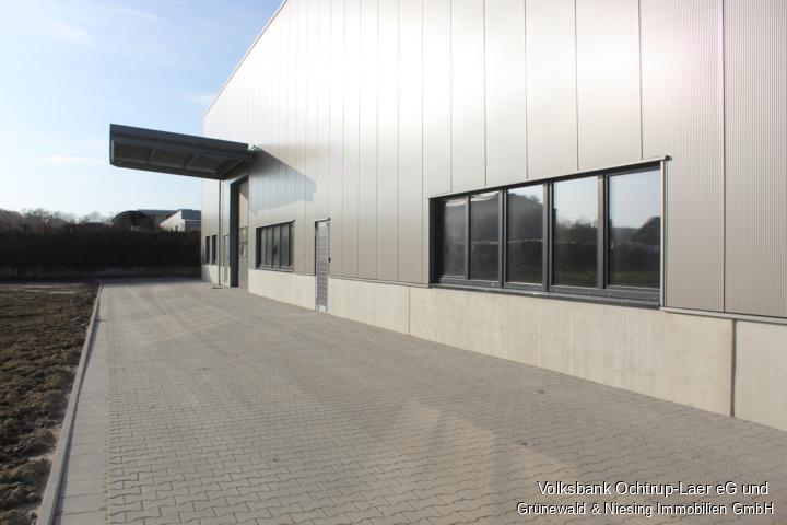 Attraktive Gewerbehalle zur Vermietung – Vielseitig nutzbar!