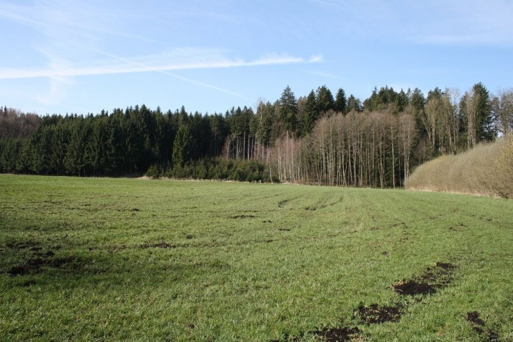 Landwirtschaftliche Fläche in Englmeng/Landkreis Ebersberg