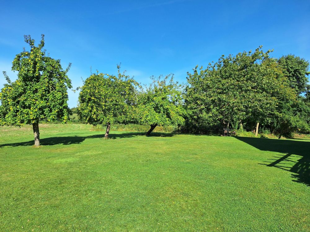 Idyllisch gelegenes Einfamilienhaus mit Einliegerwohnung in Feldrandlage