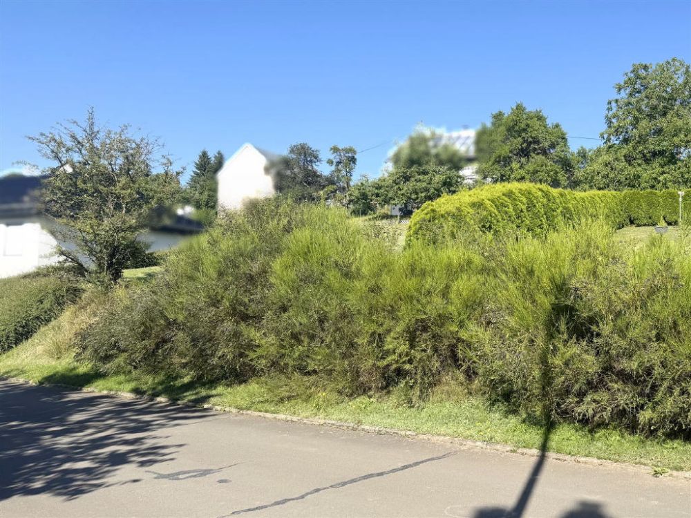 Baugrundstück in naturnaher Lage - Nähe Manderscheid