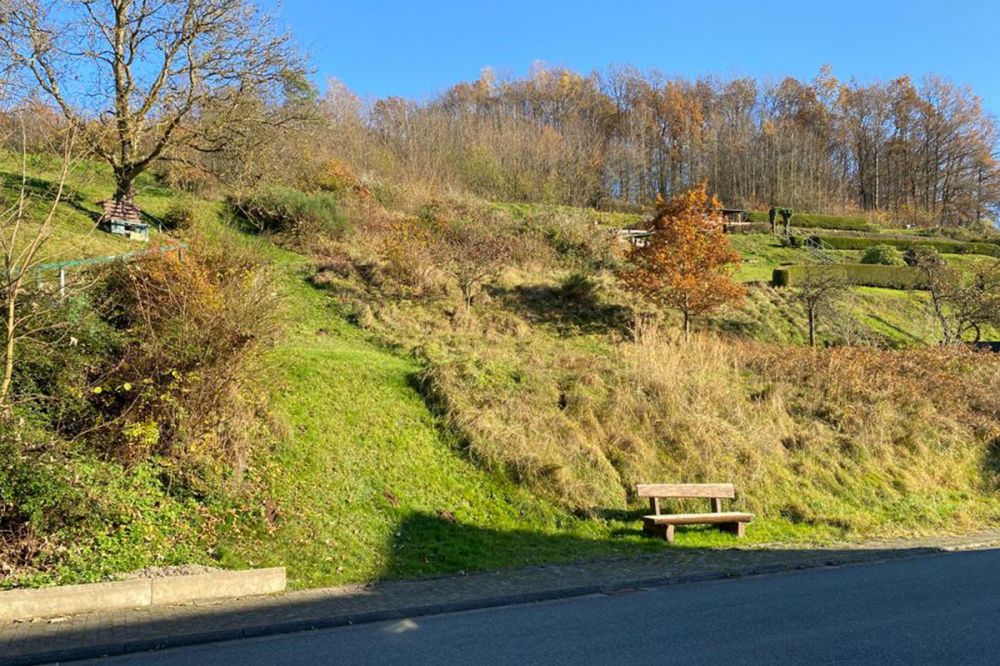 Grundstück für Bauherren mit viel Platzbedarf in Flörsbach!
