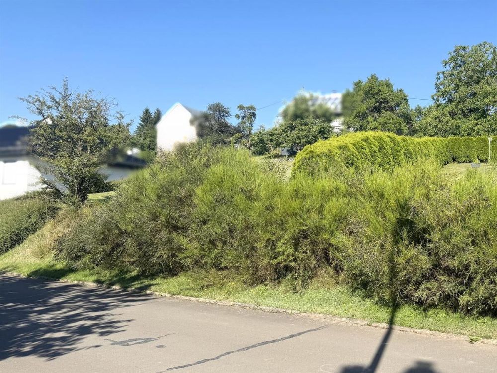 Baugrundstück in naturnaher Lage - Nähe Manderscheid (2)