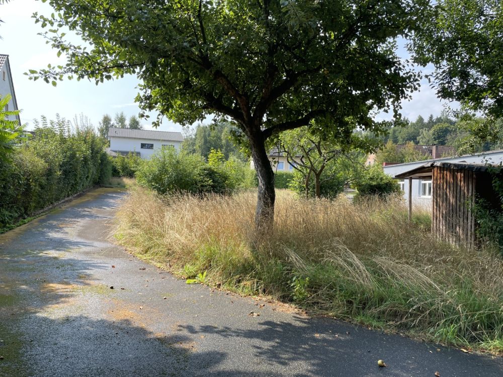 Ruhig gelegenes Baugrundstück mit Halle und riesigen Gartengrundstück!