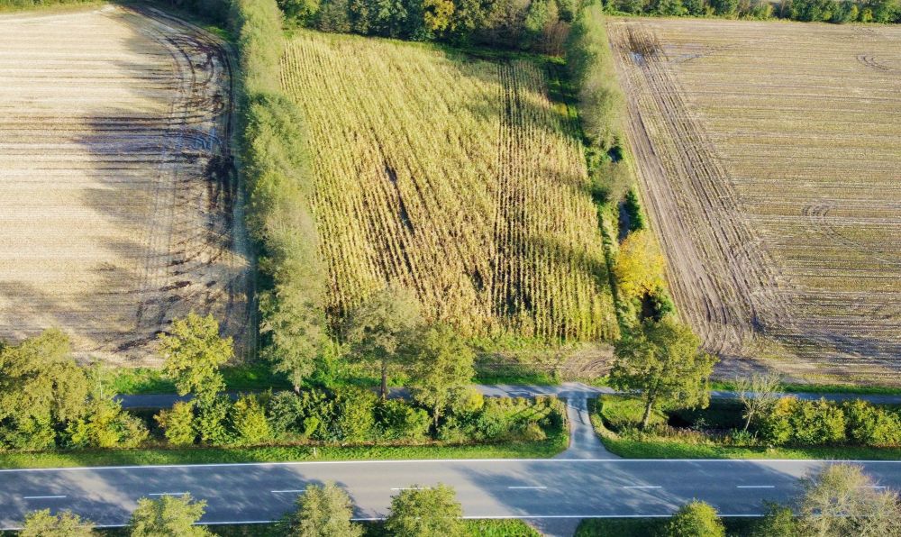 Verpachteter Ackerschlag in Ibbenbüren-Dörenthe! (2)