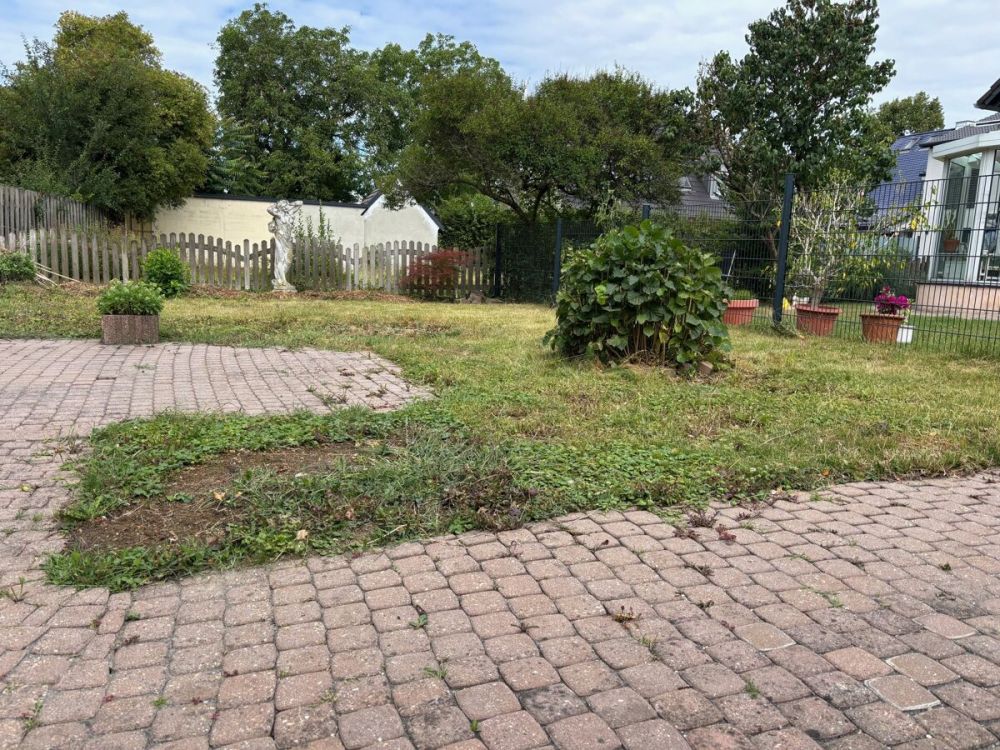 Charmante Doppelhaushälfte auf dem Heilsberg: Mit neuem Dach, Heizung und PV-Anlage